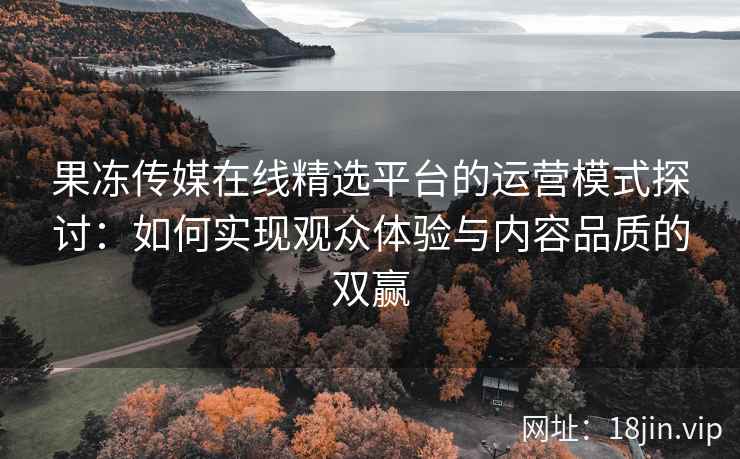 果冻传媒在线精选平台的运营模式探讨：如何实现观众体验与内容品质的双赢