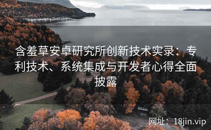 含羞草安卓研究所创新技术实录：专利技术、系统集成与开发者心得全面披露